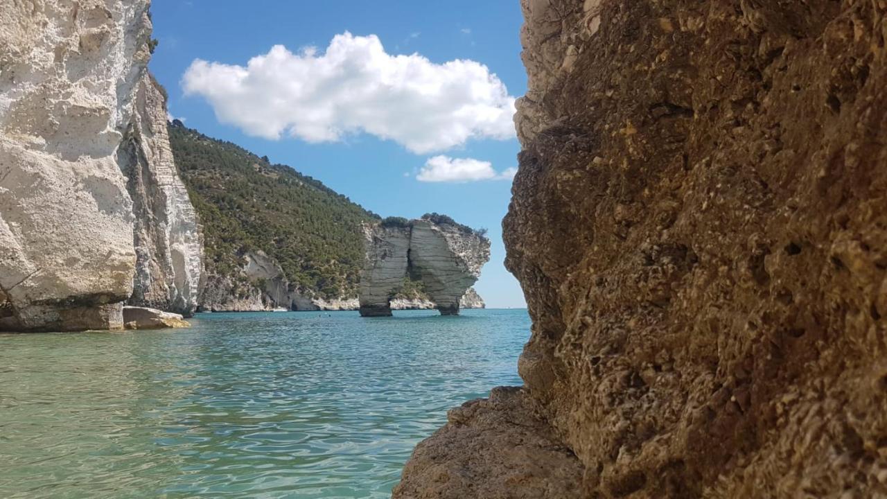 Tenuta Santa Maria Mattinata Kültér fotó