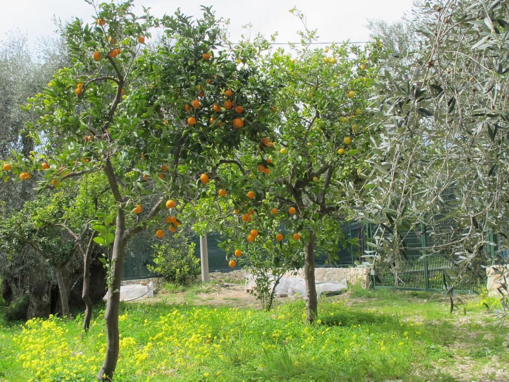 Tenuta Santa Maria Mattinata Szoba fotó