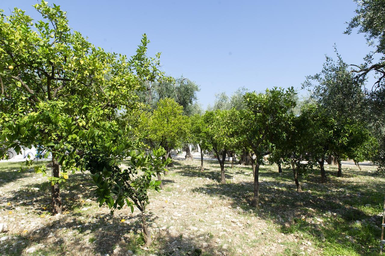 Tenuta Santa Maria Mattinata Kültér fotó